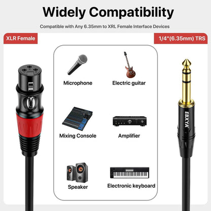 EBXYA XLR Female to 1/4 Inch TRS - Balanced XLR Microphone Cable to 6.35mm Jack Lead, 10ft 2 Pack