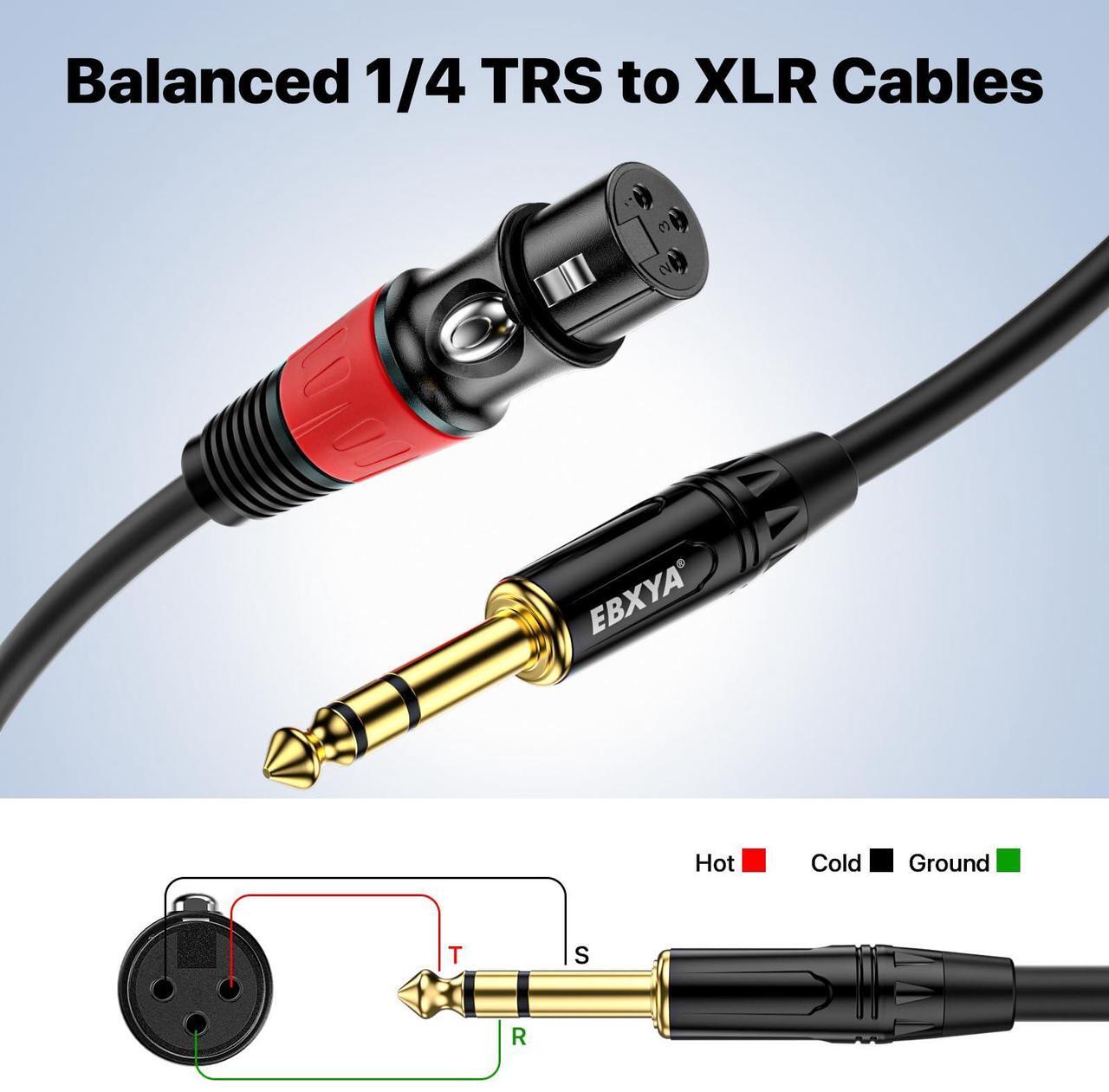 EBXYA XLR Female to 1/4 Inch TRS - Balanced XLR Microphone Cable to 6.35mm Jack Lead, 10ft 2 Pack