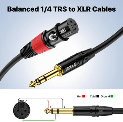 EBXYA XLR Female to 1/4 Inch TRS - Balanced XLR Microphone Cable to 6.35mm Jack Lead, 10ft 2 Pack
