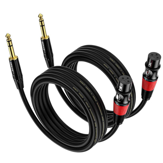EBXYA 1/4 to XLR Cable - 6.35mm TRS Plug to Balanced 3-pin Female XLR Microphone Cable, 6ft 2 Pack