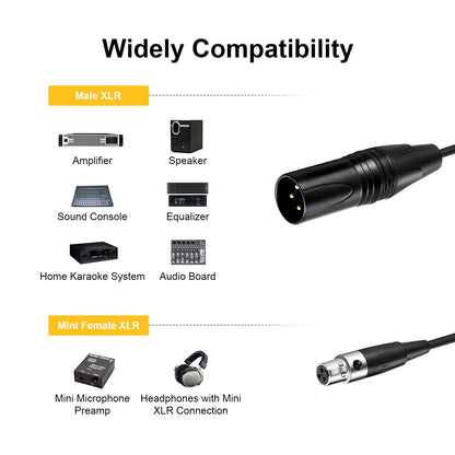 EBXYA Mini XLR Female to XLR Male Cable 2 Pack, 3 Pin Mini XLR Patch Cable Adapter for BMPCC 4K Camera Video Assist 4K Sharp 8K, 5 Ft