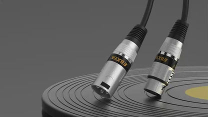 EBXYA XLR Cable 3 Ft 10 Pack, Premium XLR Male to Female Microphone Patch Cables 3 Pin Mic Cords DMX512 Lighting Cable Compatible with Speakers, Mixer, Stage Lighting